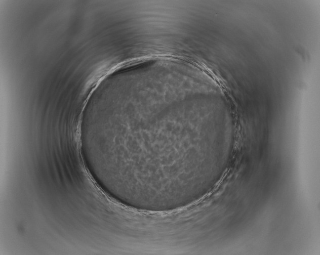 X0000112170002200908211436