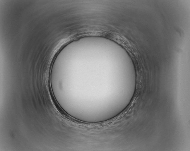 X0000112170003200908211436