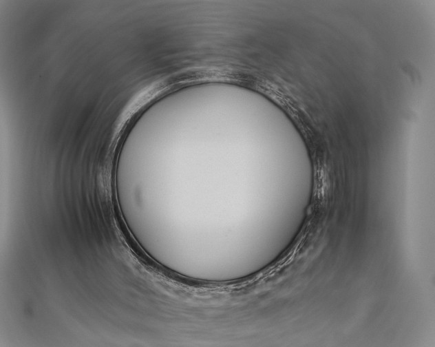 X0000112170004200908211436