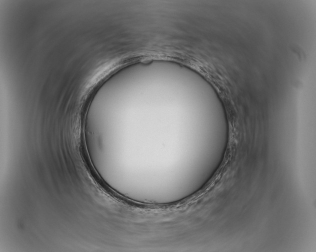 X0000112170005200908211436