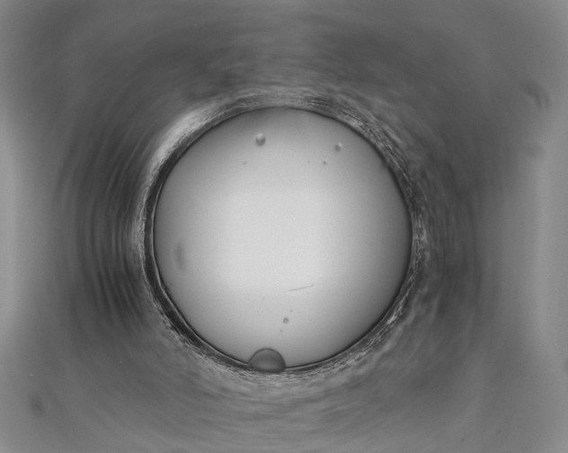 X0000112170006200908211436