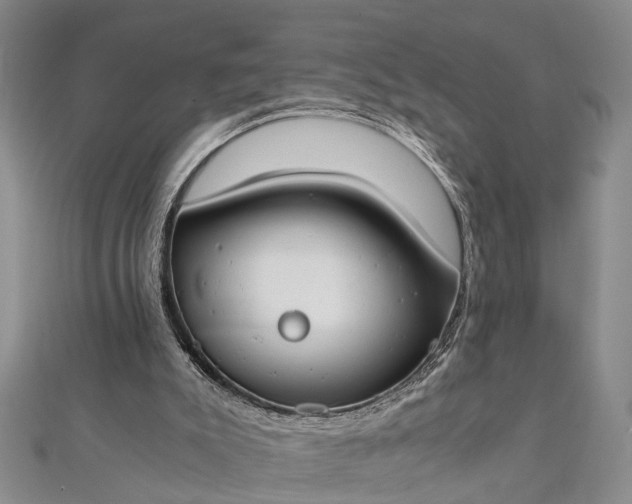 X0000112170007200908211436