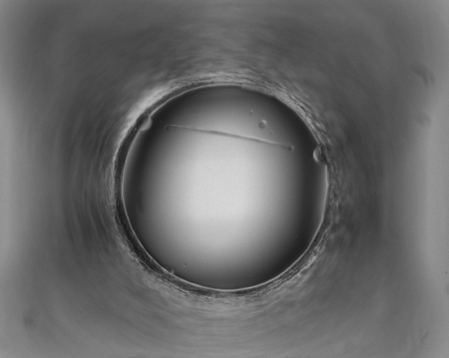 X0000112170008200908211436