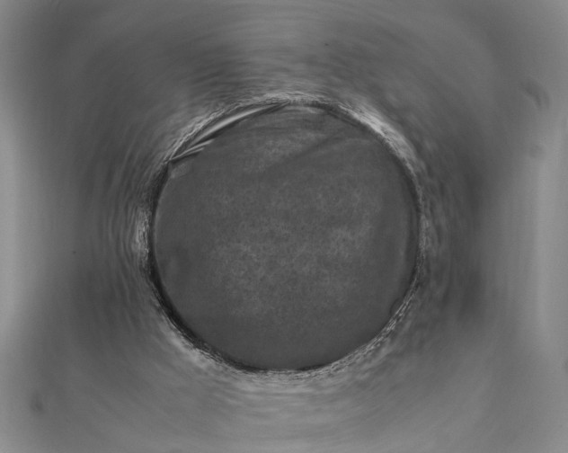 X0000112170009200908211436