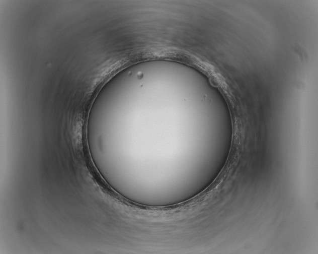 X0000112170010200908211436