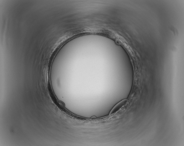 X0000112170011200908211436