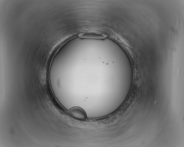 X0000112170012200908211436