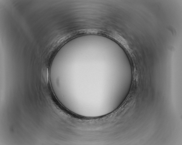 X0000112170013200908211436