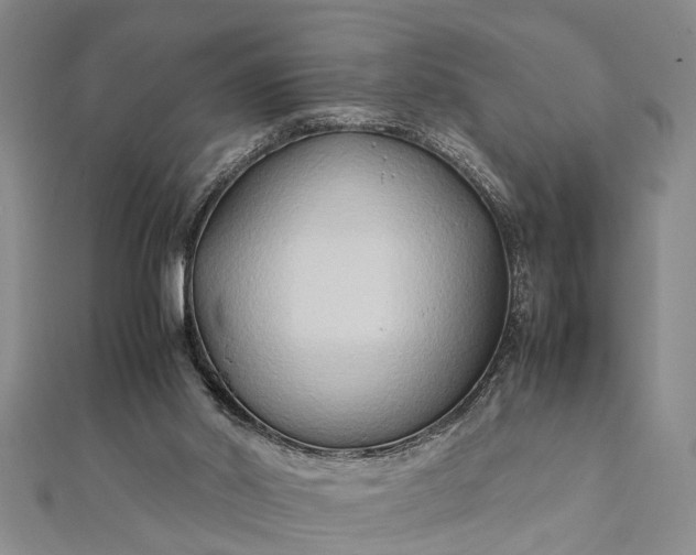 X0000112170014200908211436