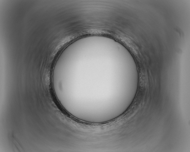 X0000112170015200908211436