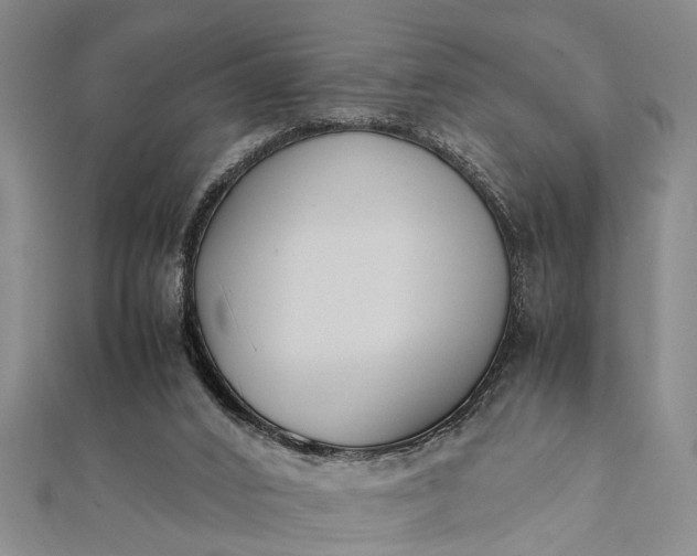 X0000112170016200908211436