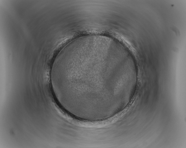 X0000112170017200908211436