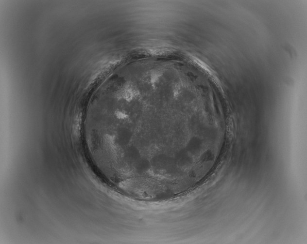 X0000112170018200908211436