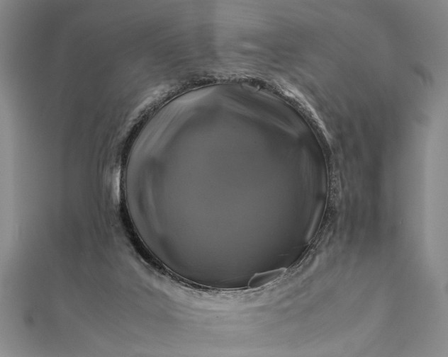 X0000112170019200908211436