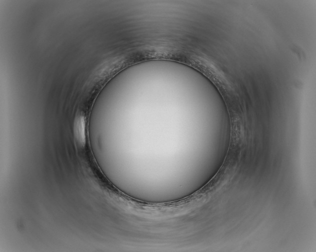 X0000112170022200908211436