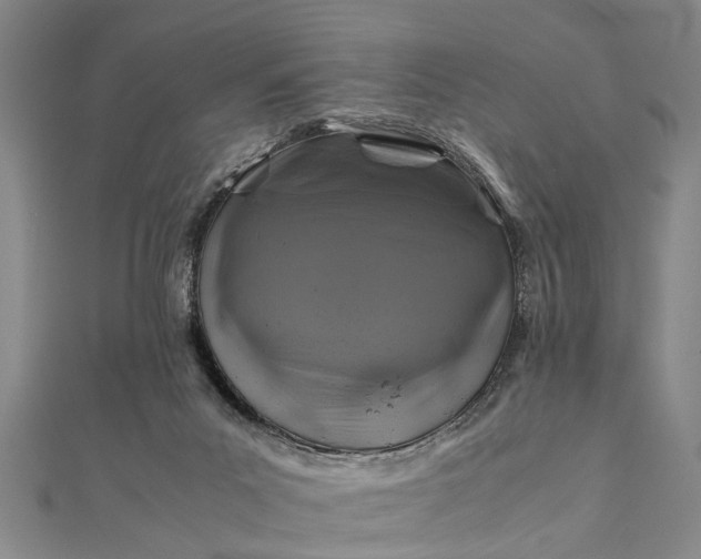 X0000112170023200908211436