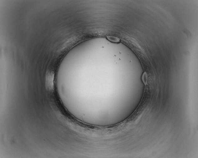 X0000112170024200908211436