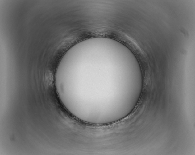 X0000112170025200908211436