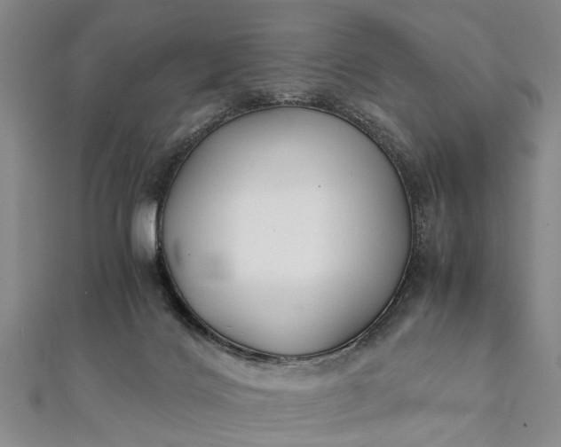 X0000112170028200908211436