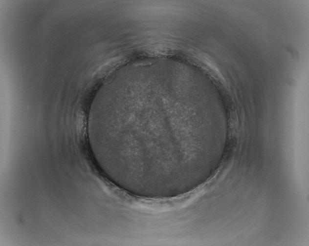 X0000112170029200908211436