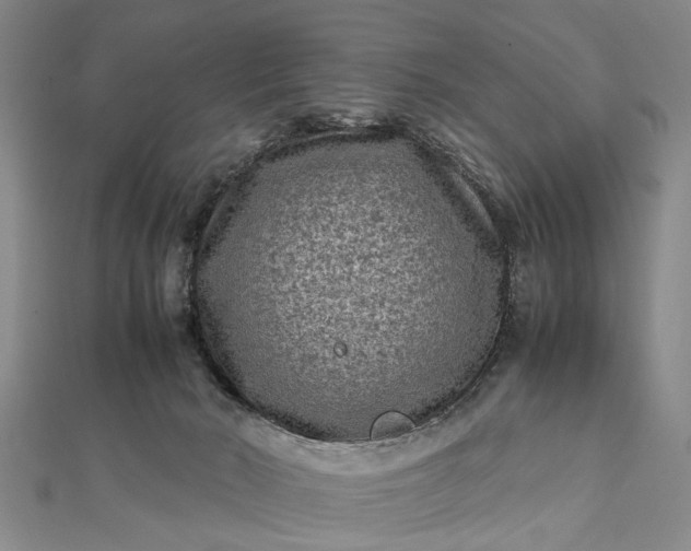 X0000112170030200908211436