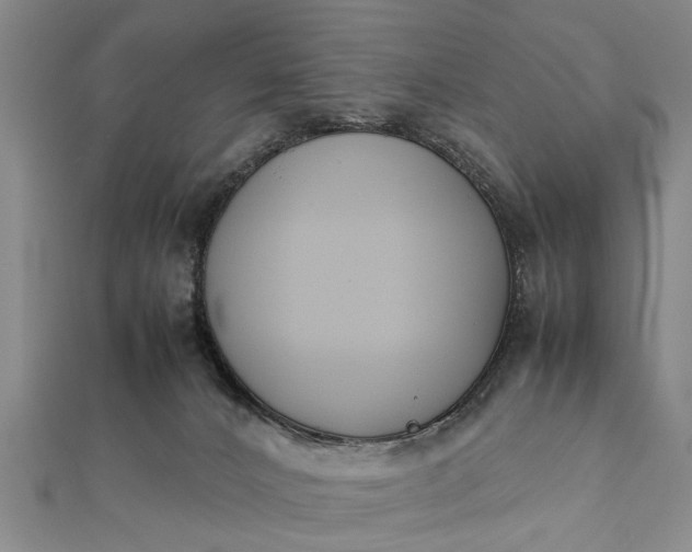 X0000112170032200908211436