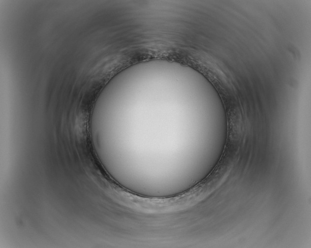 X0000112170034200908211436