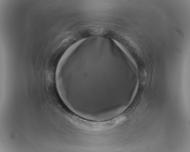 X0000112170035200908211436