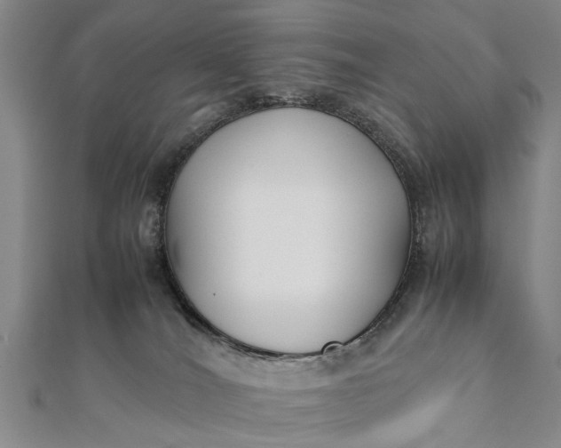 X0000112170036200908211436