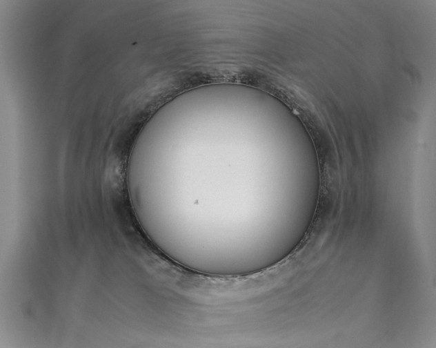 X0000112170037200908211436