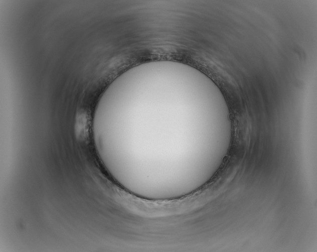 X0000112170038200908211436