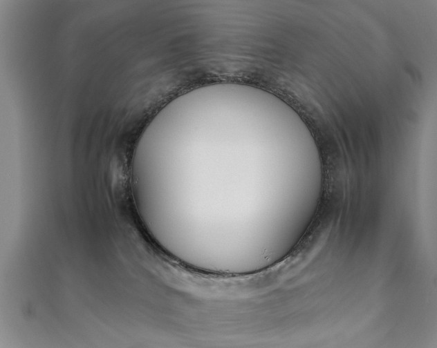 X0000112170040200908211436