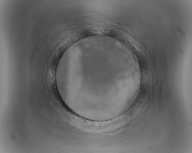 X0000112170043200908211436