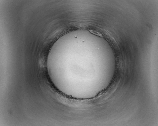 X0000112170044200908211436