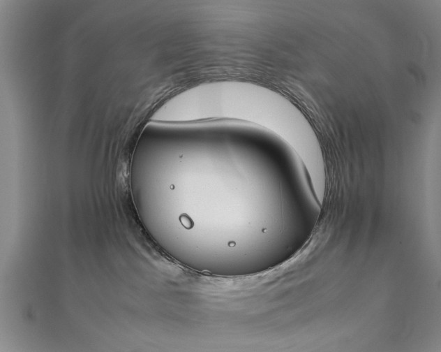 X0000112170045200908211436