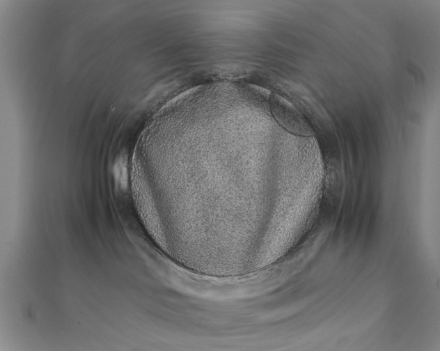 X0000112170046200908211436