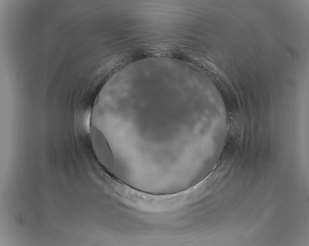 X0000112170047200908211436