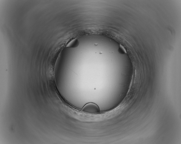 X0000112170048200908211436