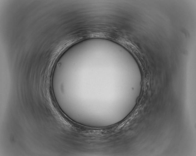 X0000112170049200908211435