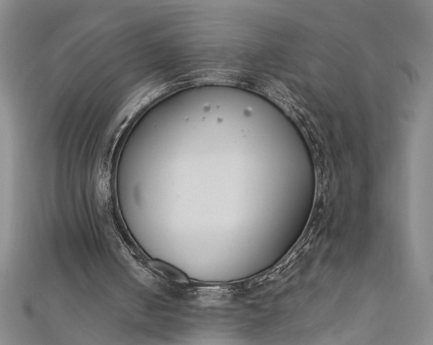 X0000112170050200908211435