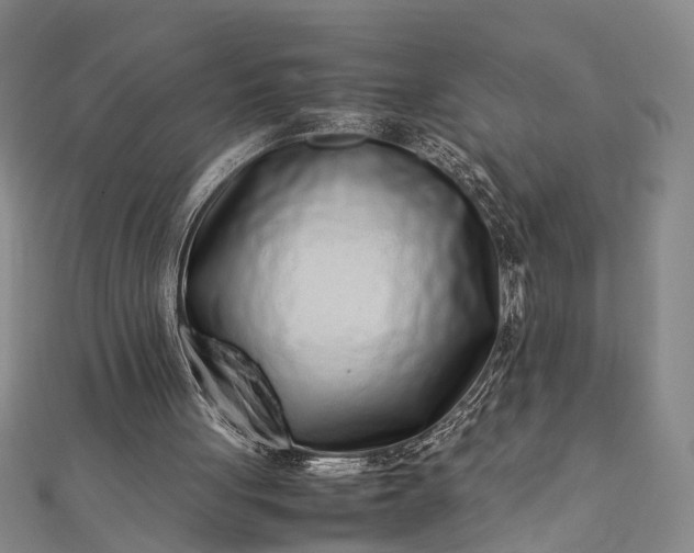 X0000112170051200908211435