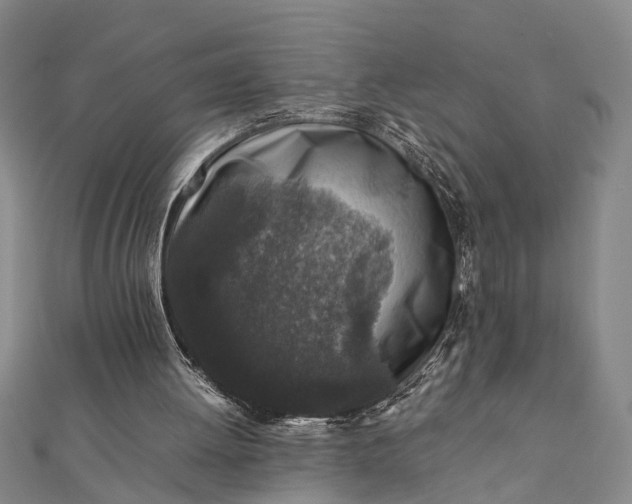 X0000112170052200908211435