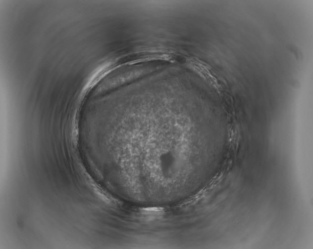 X0000112170053200908211435