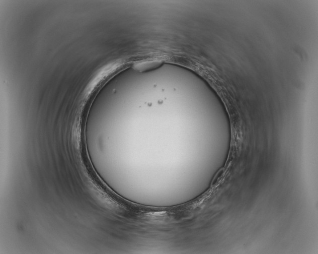 X0000112170054200908211435