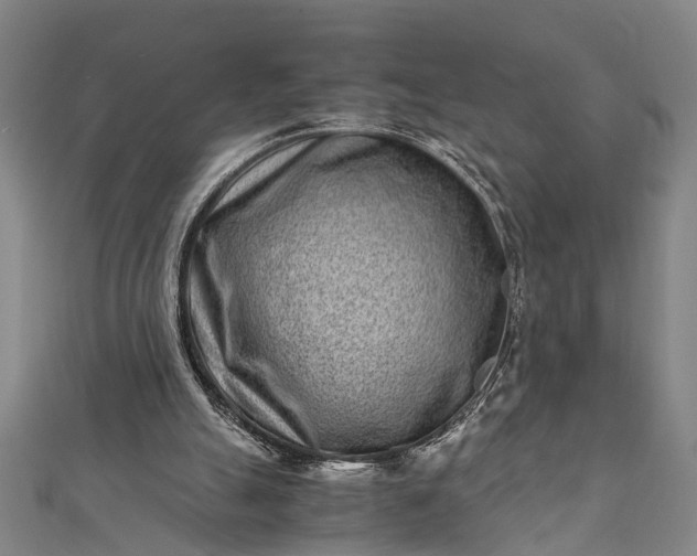 X0000112170055200908211435