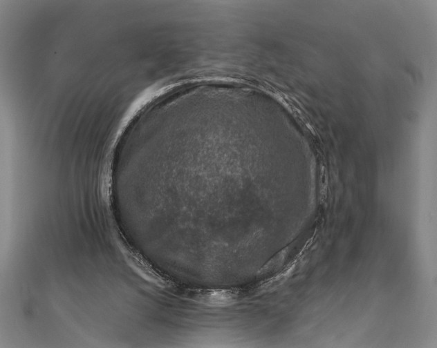 X0000112170056200908211435