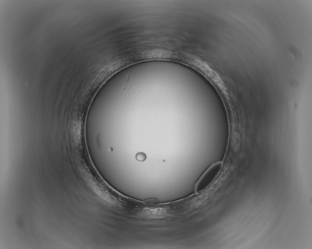 X0000112170057200908211435