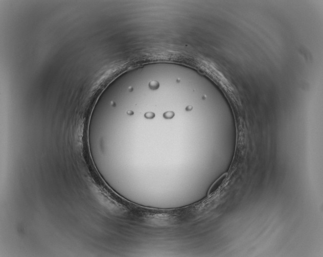 X0000112170058200908211435