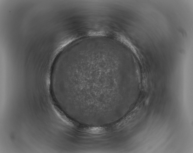 X0000112170059200908211435