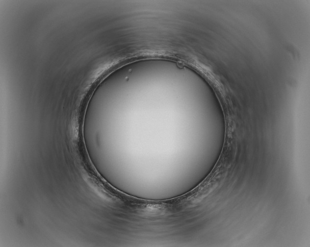 X0000112170060200908211435